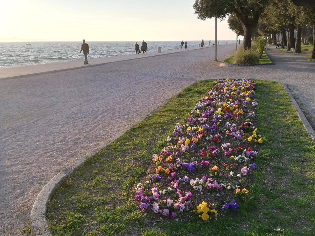 Marijana * Zadar